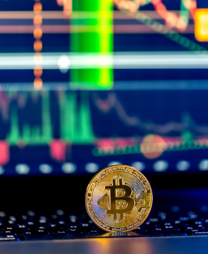 Blackrose Finbitnex Informazioni sul Trading
